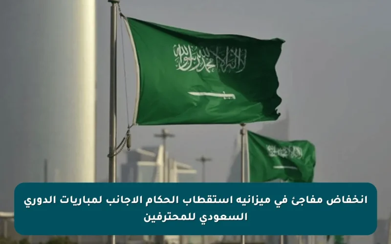 انخفاض مفاجئ في ميزانية استقطاب الحكام الأجانب لمباريات الدوري السعودي للمحترفين